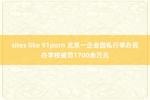 sites like 91porn 北京一企业因私行举办民办学校被罚1700余万元