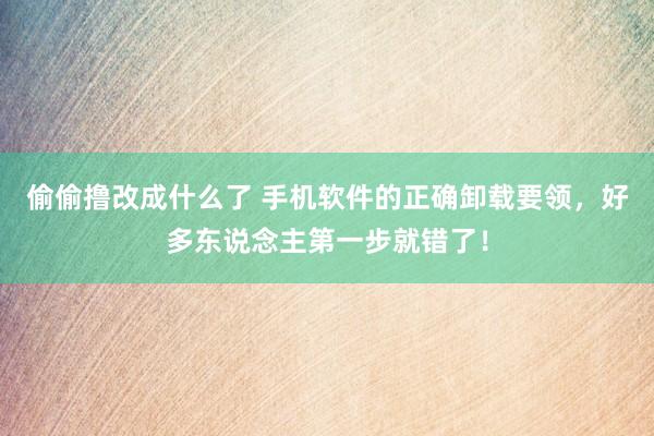 偷偷撸改成什么了 手机软件的正确卸载要领，好多东说念主第一步就错了！