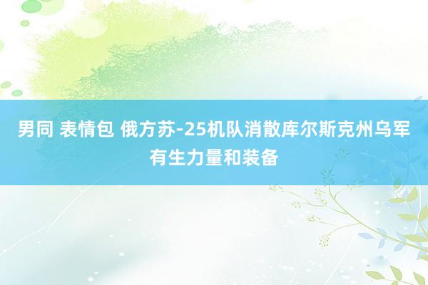 男同 表情包 俄方苏-25机队消散库尔斯克州乌军有生力量和装备