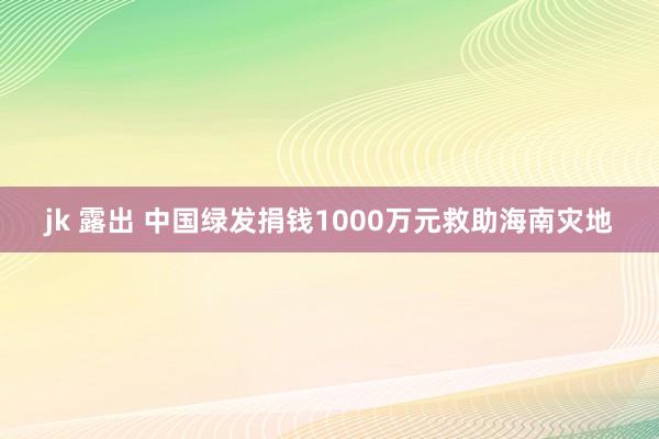 jk 露出 中国绿发捐钱1000万元救助海南灾地