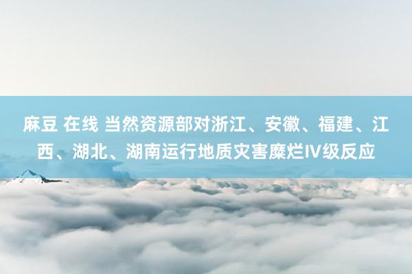 麻豆 在线 当然资源部对浙江、安徽、福建、江西、湖北、湖南运行地质灾害糜烂Ⅳ级反应