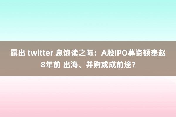 露出 twitter 息饱读之际：A股IPO募资额奉赵8年前 出海、并购或成前途？