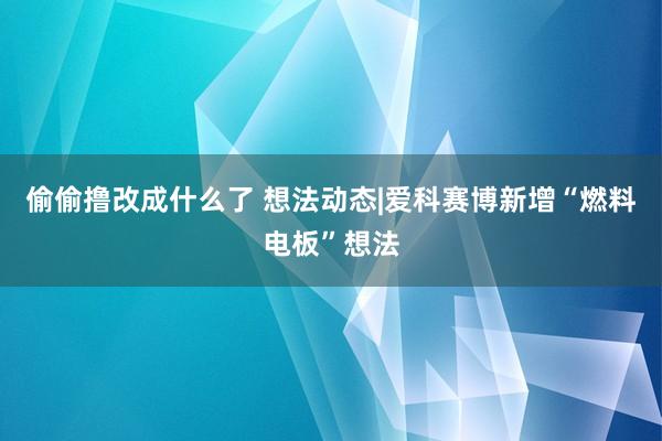 偷偷撸改成什么了 想法动态|爱科赛博新增“燃料电板”想法