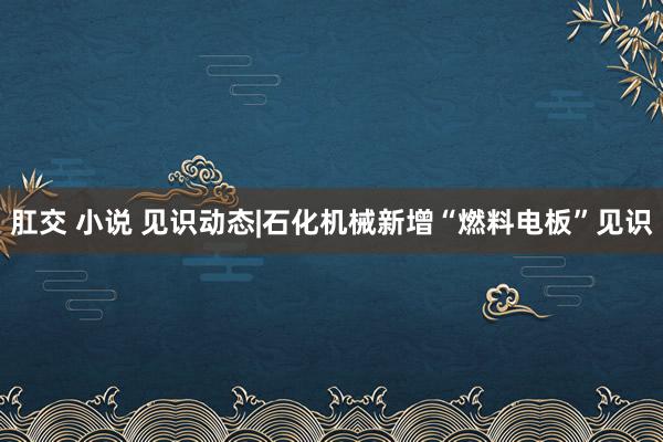 肛交 小说 见识动态|石化机械新增“燃料电板”见识