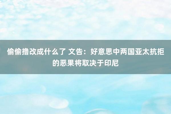 偷偷撸改成什么了 文告：好意思中两国亚太抗拒的恶果将取决于印尼