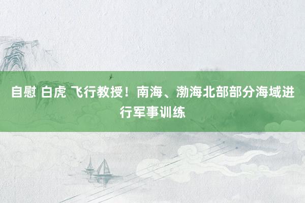 自慰 白虎 飞行教授！南海、渤海北部部分海域进行军事训练