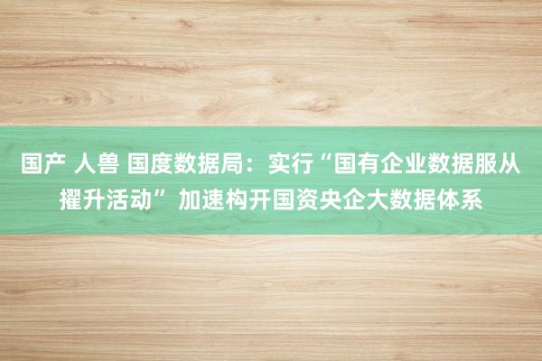 国产 人兽 国度数据局：实行“国有企业数据服从擢升活动” 加速构开国资央企大数据体系