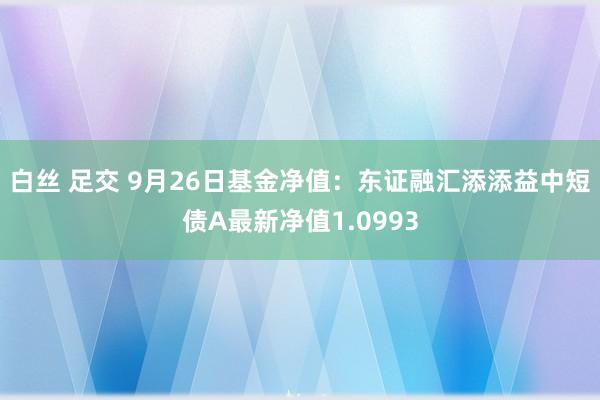 白丝 足交 9月26日基金净值：东证融汇添添益中短债A最新净值1.0993