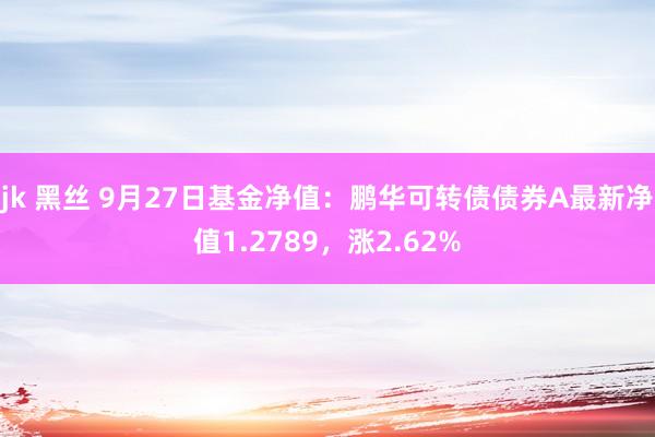 jk 黑丝 9月27日基金净值：鹏华可转债债券A最新净值1.2789，涨2.62%