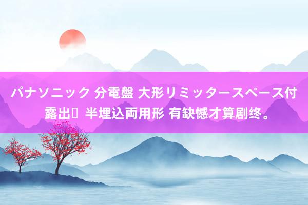 パナソニック 分電盤 大形リミッタースペース付 露出・半埋込両用形 有缺憾才算剧终。