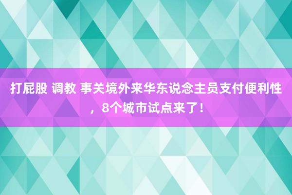 打屁股 调教 事关境外来华东说念主员支付便利性，8个城市试点来了！