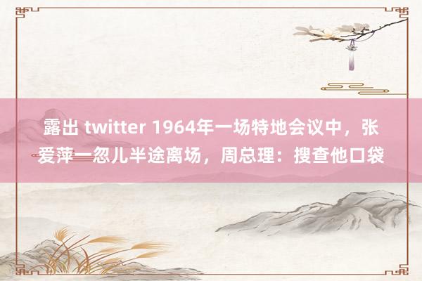 露出 twitter 1964年一场特地会议中，张爱萍一忽儿半途离场，周总理：搜查他口袋