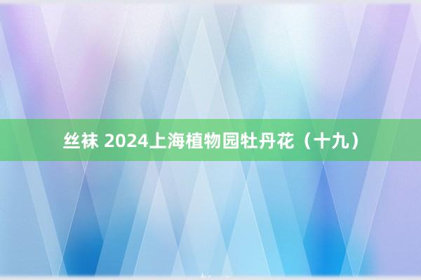 丝袜 2024上海植物园牡丹花（十九）