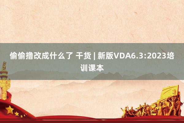 偷偷撸改成什么了 干货 | 新版VDA6.3:2023培训课本