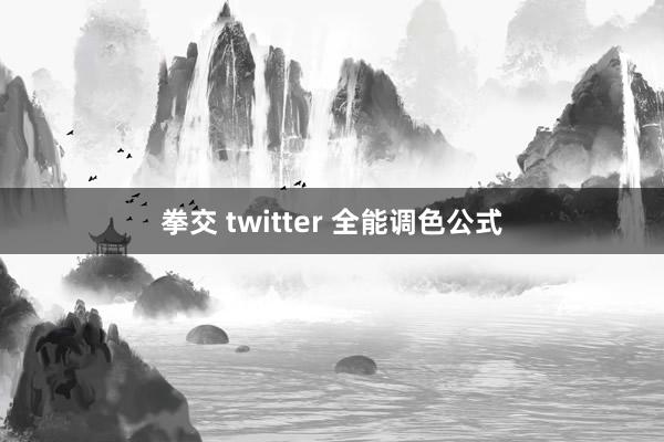 拳交 twitter 全能调色公式