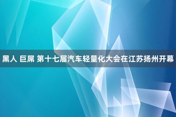 黑人 巨屌 第十七届汽车轻量化大会在江苏扬州开幕