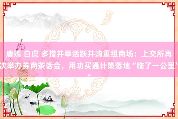 唐嫣 白虎 多措并举活跃并购重组商场：上交所再次举办券商茶话会，用功买通计策落地“临了一公里”