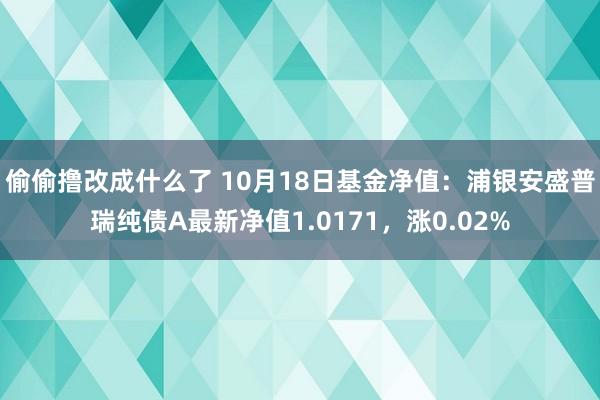 偷偷撸改成什么了 10月18日基金净值：浦银安盛普瑞纯债A最新净值1.0171，涨0.02%