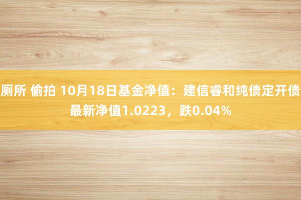 厕所 偷拍 10月18日基金净值：建信睿和纯债定开债最新净值1.0223，跌0.04%