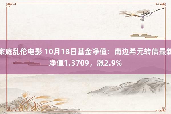 家庭乱伦电影 10月18日基金净值：南边希元转债最新净值1.3709，涨2.9%