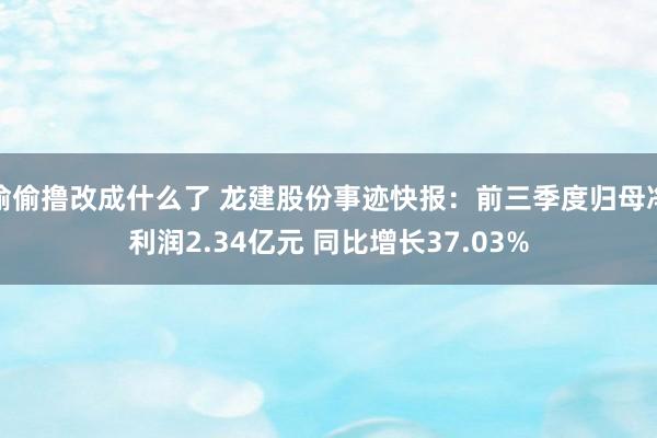 偷偷撸改成什么了 龙建股份事迹快报：前三季度归母净利润2.34亿元 同比增长37.03%