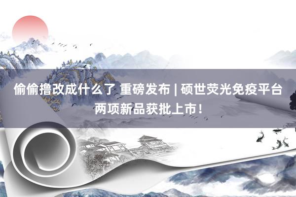 偷偷撸改成什么了 重磅发布 | 硕世荧光免疫平台两项新品获批上市！