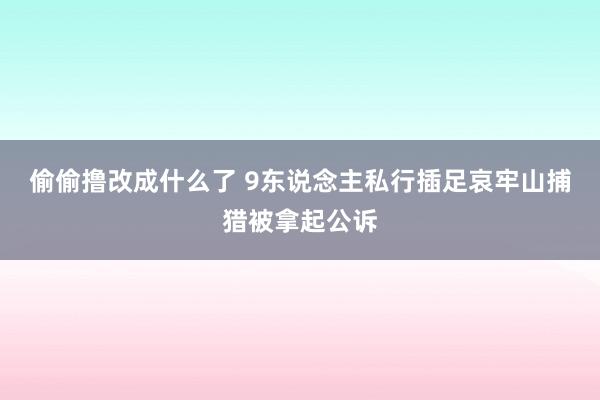 偷偷撸改成什么了 9东说念主私行插足哀牢山捕猎被拿起公诉