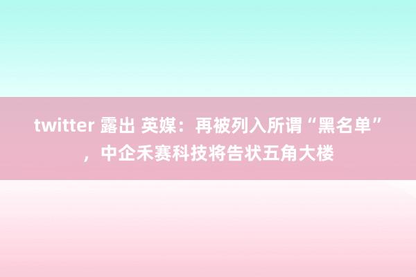 twitter 露出 英媒：再被列入所谓“黑名单”，中企禾赛科技将告状五角大楼