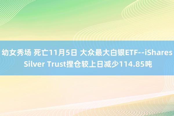 幼女秀场 死亡11月5日 大众最大白银ETF--iShares Silver Trust捏仓较上日减少114.85吨