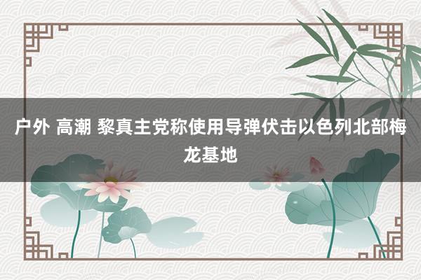 户外 高潮 黎真主党称使用导弹伏击以色列北部梅龙基地