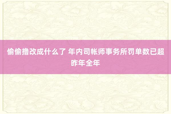 偷偷撸改成什么了 年内司帐师事务所罚单数已超昨年全年