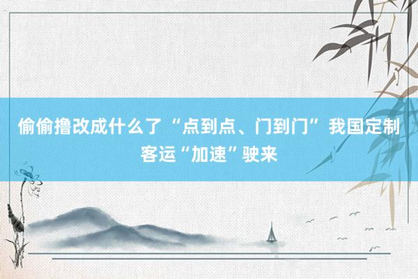 偷偷撸改成什么了 “点到点、门到门” 我国定制客运“加速”驶来