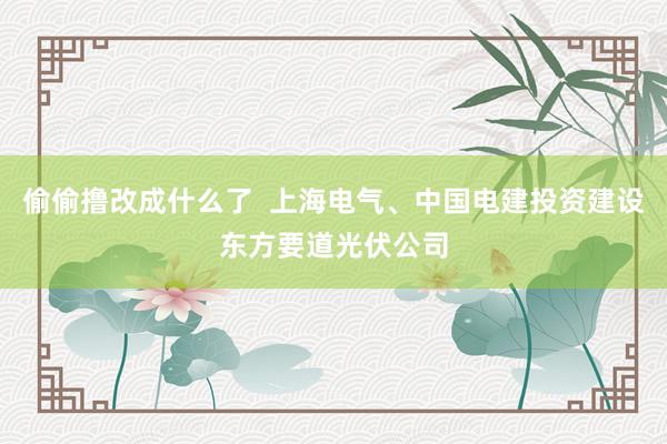 偷偷撸改成什么了  上海电气、中国电建投资建设东方要道光伏公司