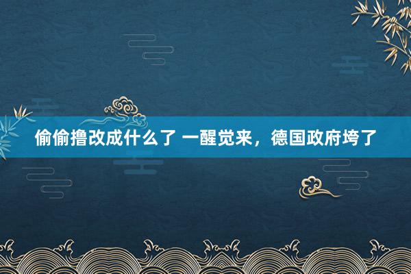 偷偷撸改成什么了 一醒觉来，德国政府垮了