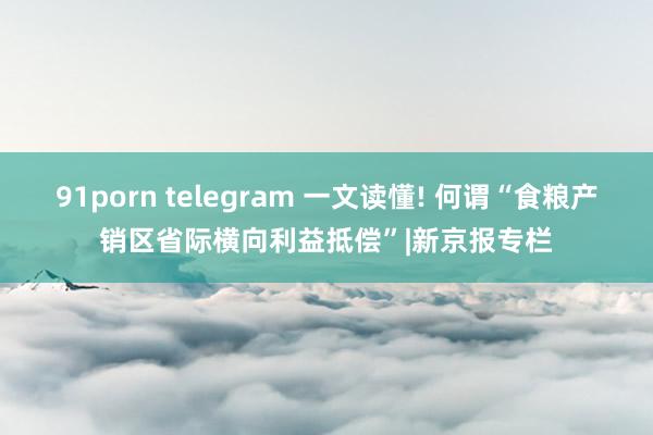 91porn telegram 一文读懂! 何谓“食粮产销区省际横向利益抵偿”|新京报专栏