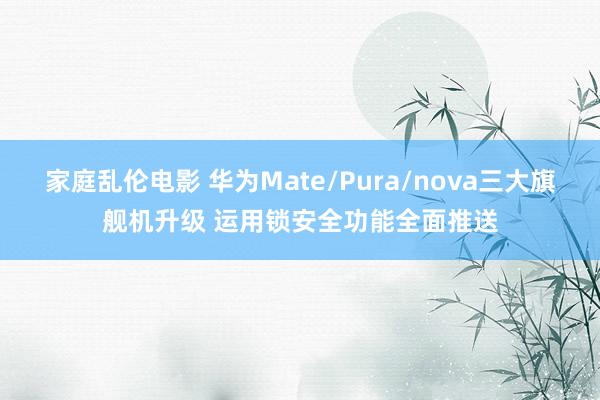 家庭乱伦电影 华为Mate/Pura/nova三大旗舰机升级 运用锁安全功能全面推送