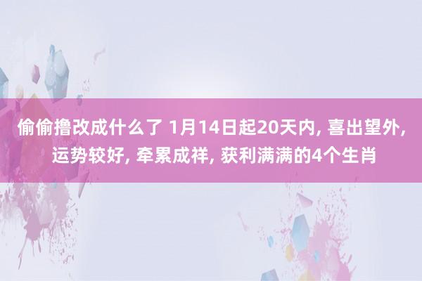 偷偷撸改成什么了 1月14日起20天内， 喜出望外， 运势较好， 牵累成祥， 获利满满的4个生肖