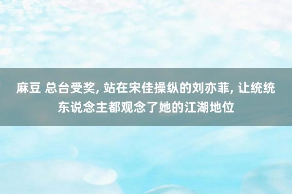 麻豆 总台受奖， 站在宋佳操纵的刘亦菲， 让统统东说念主都观念了她的江湖地位