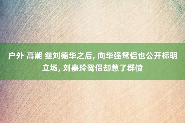 户外 高潮 继刘德华之后， 向华强鸳侣也公开标明立场， 刘嘉玲鸳侣却惹了群愤