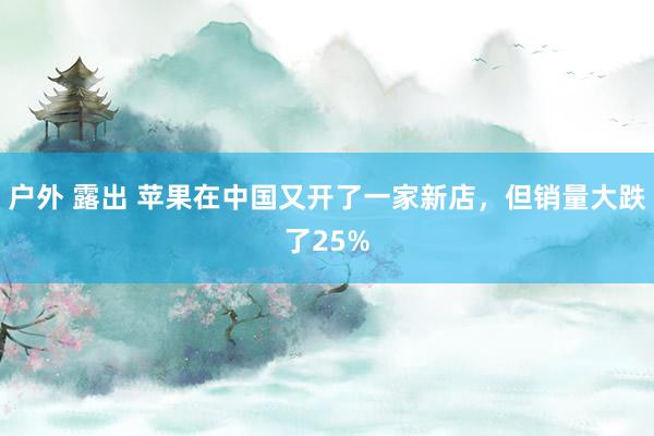 户外 露出 苹果在中国又开了一家新店，但销量大跌了25%